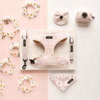 Cocopup London - Adjustable Neck Harness - Daisy Chain