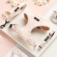 Cocopup London - Adjustable Neck Harness - Daisy Chain